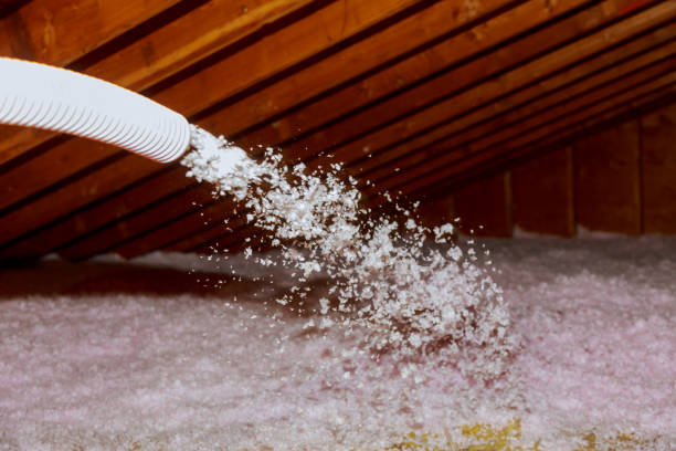 Best Residential Insulation in Yelm, WA